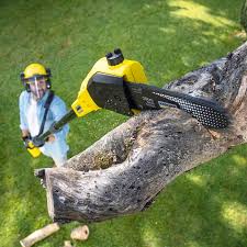 Best Aeration Services  in Amador Pines, CA